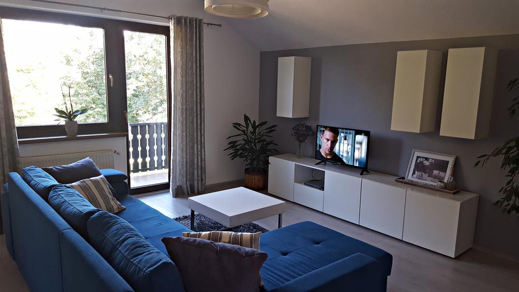 אירינובץ Apartment Lipa מראה חיצוני תמונה