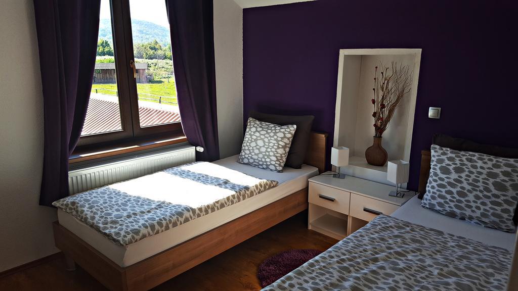 אירינובץ Apartment Lipa מראה חיצוני תמונה